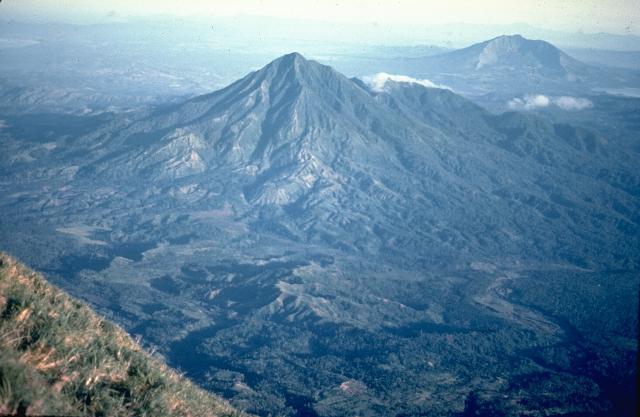 Masaraga