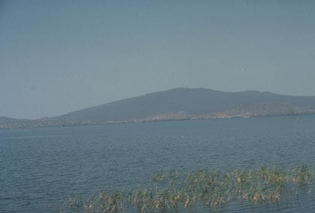 Corbetti