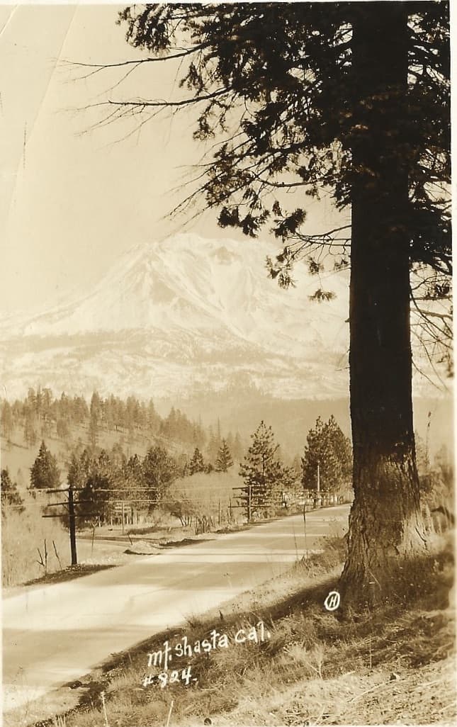 Shasta
