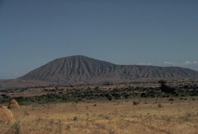 Bora-Bericha-Tullu Moye
