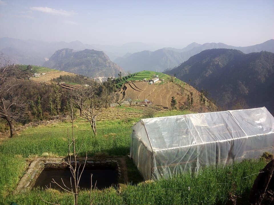 Koranga