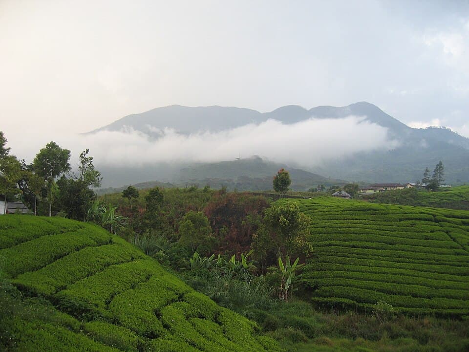 Talang