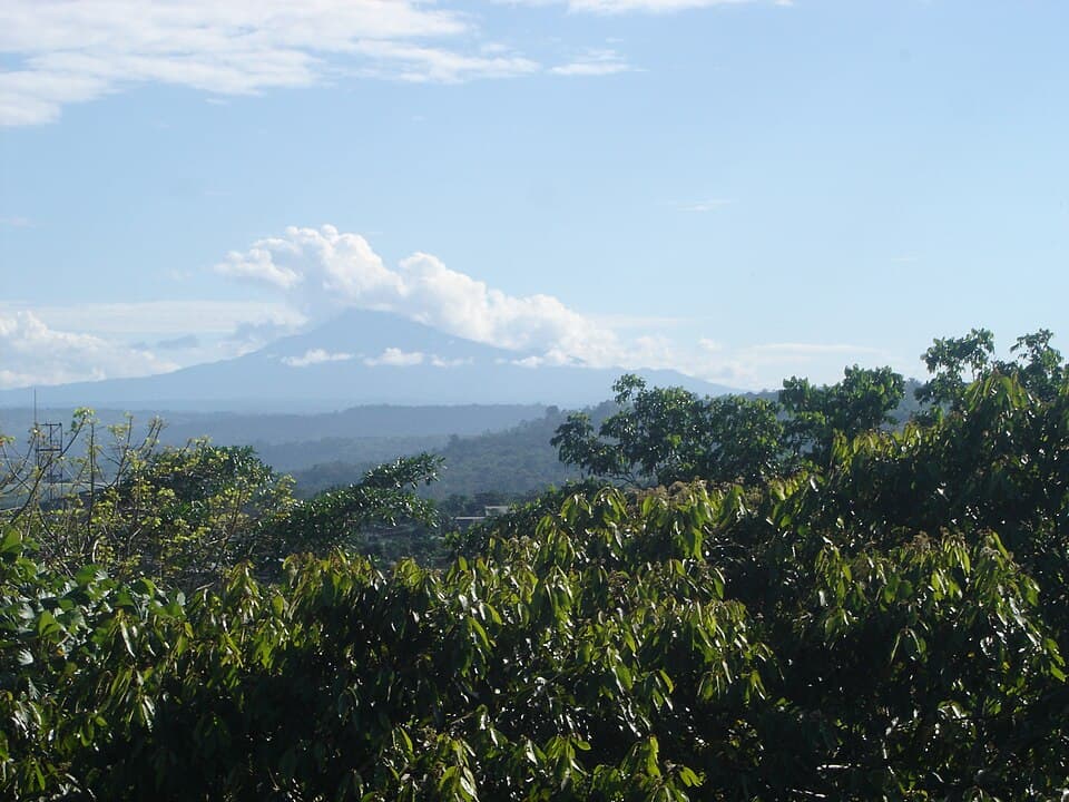 Sumaco