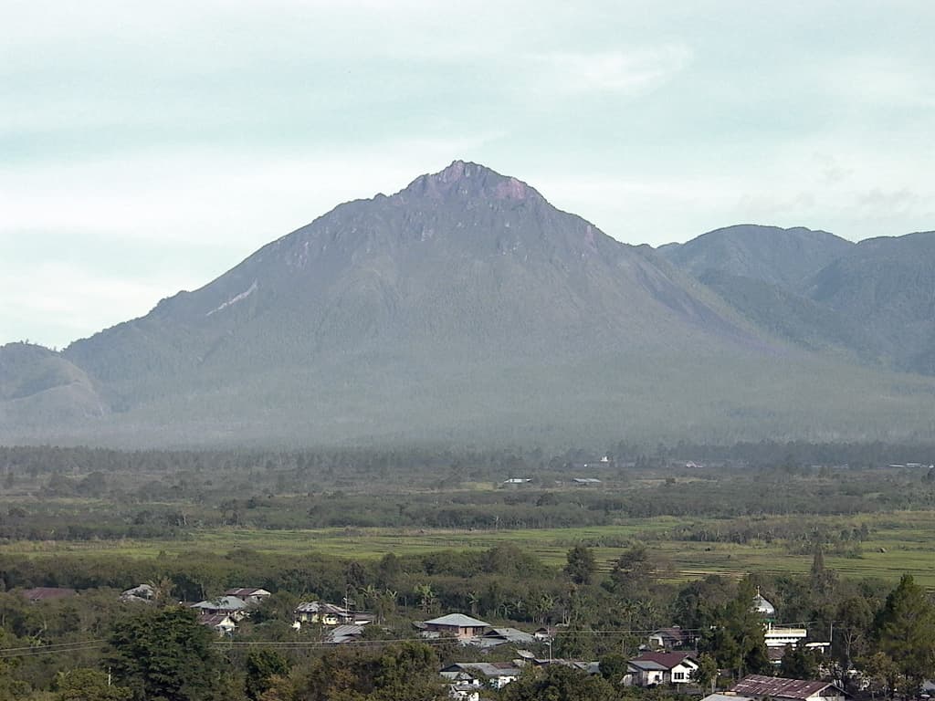 Telong, Bur ni