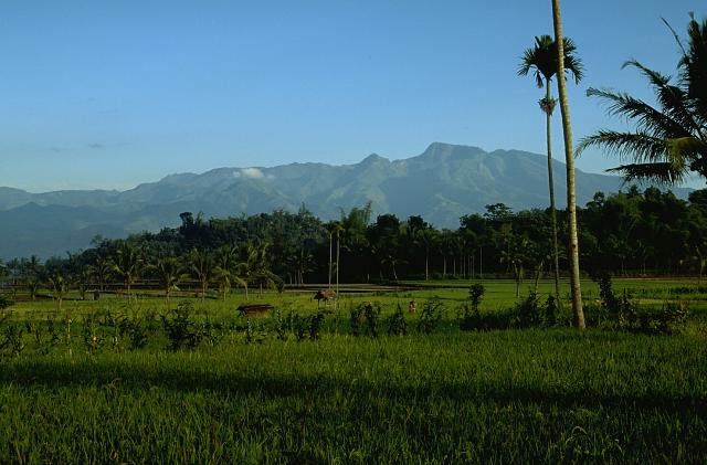 Iyang-Argapura