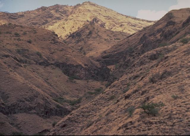Ayelu