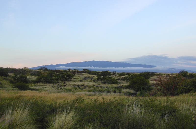 Hualalai