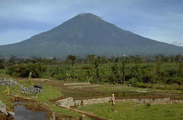 Sundoro