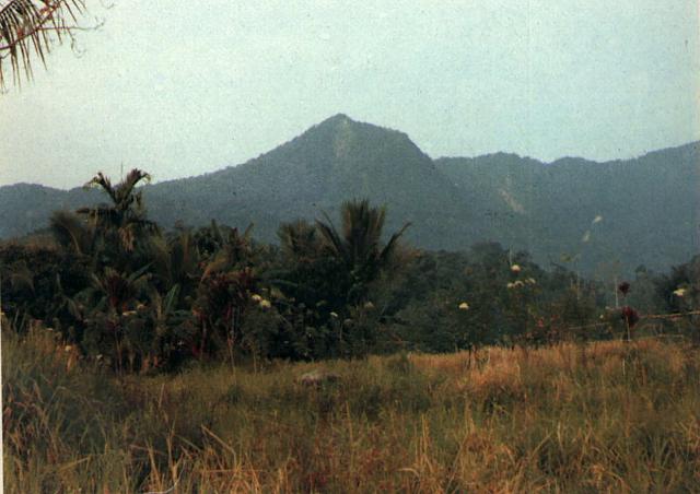 Sekincau Belirang