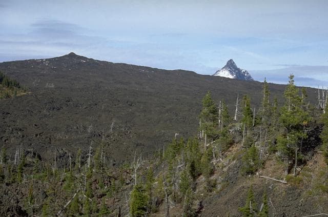 Belknap