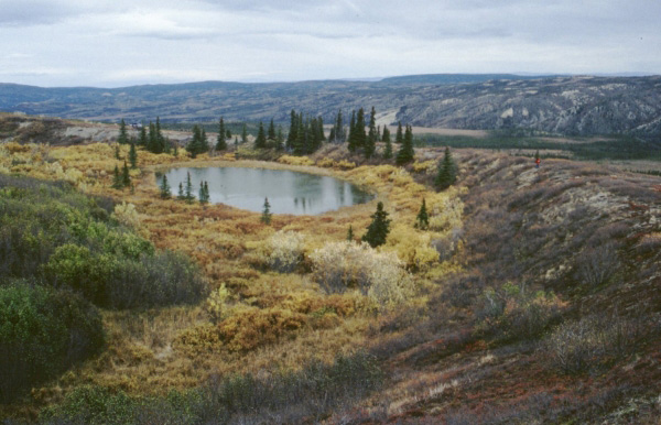 Buzzard Creek