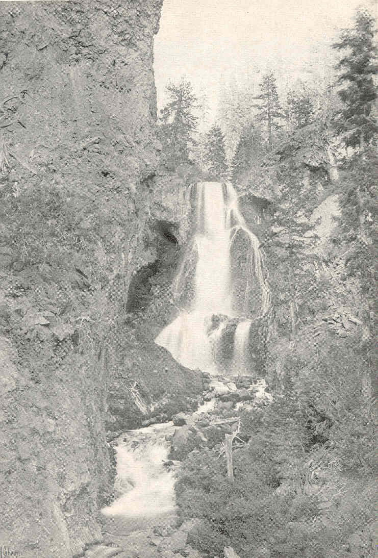 Golden Trout Creek