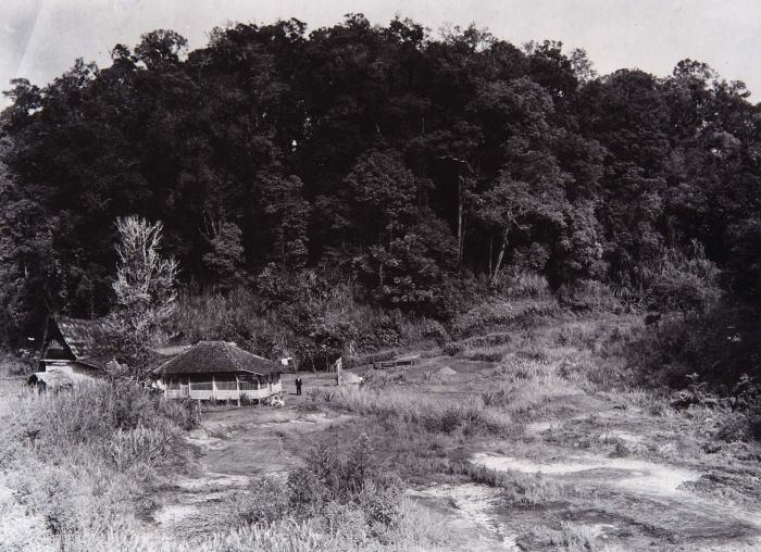 Kamojang