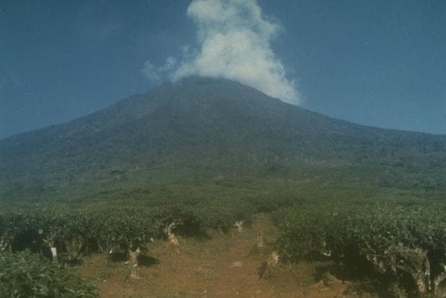 Dempo