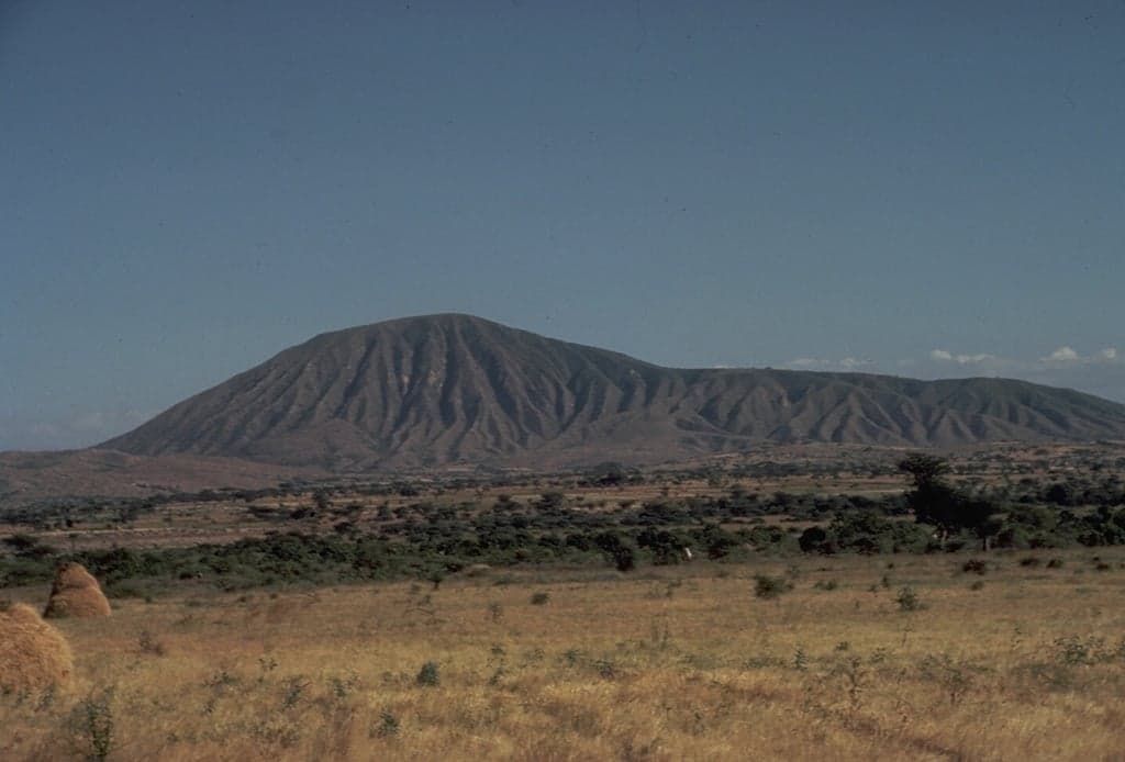Bora-Bericha-Tullu Moye