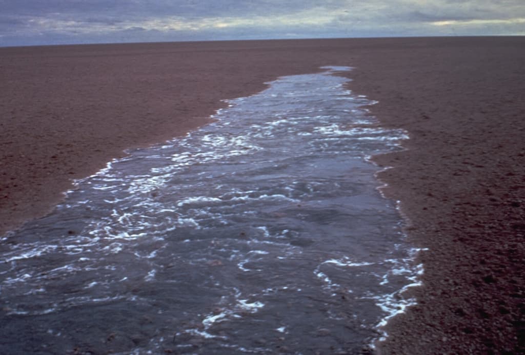 Curacoa