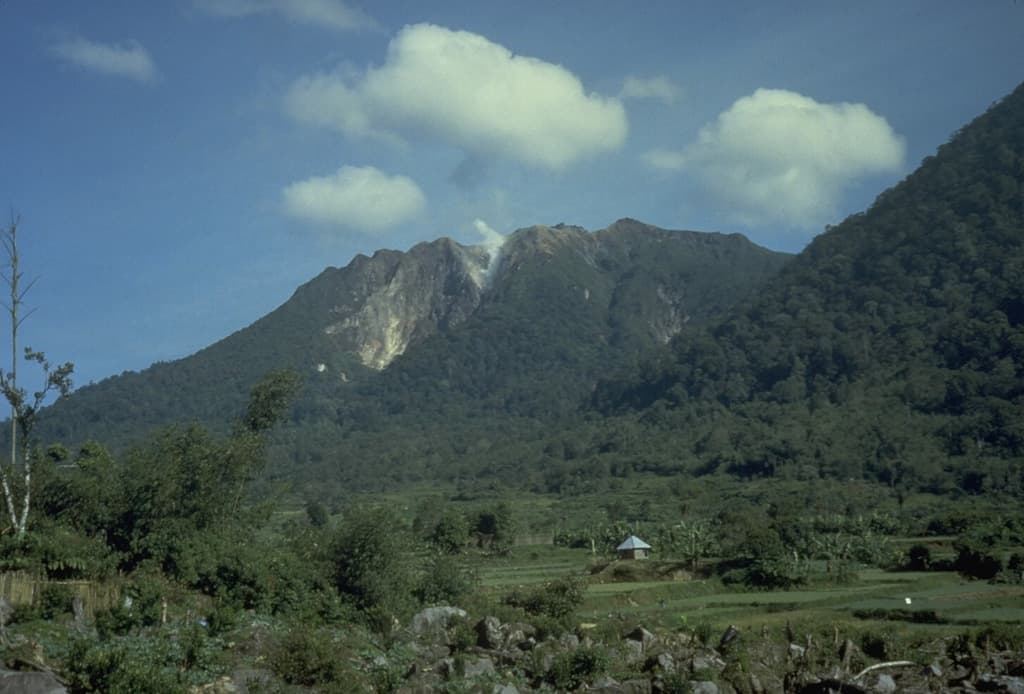 Singkut