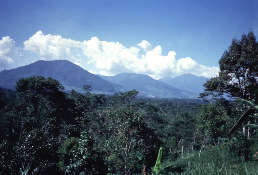Perbakti-Gagak