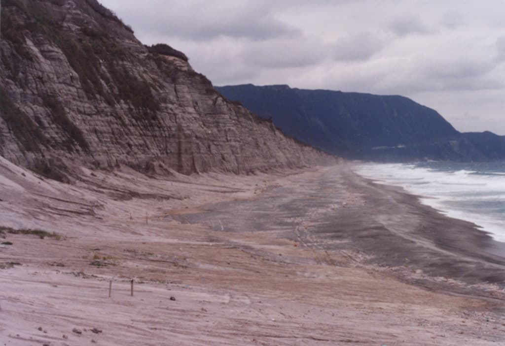 Niijima
