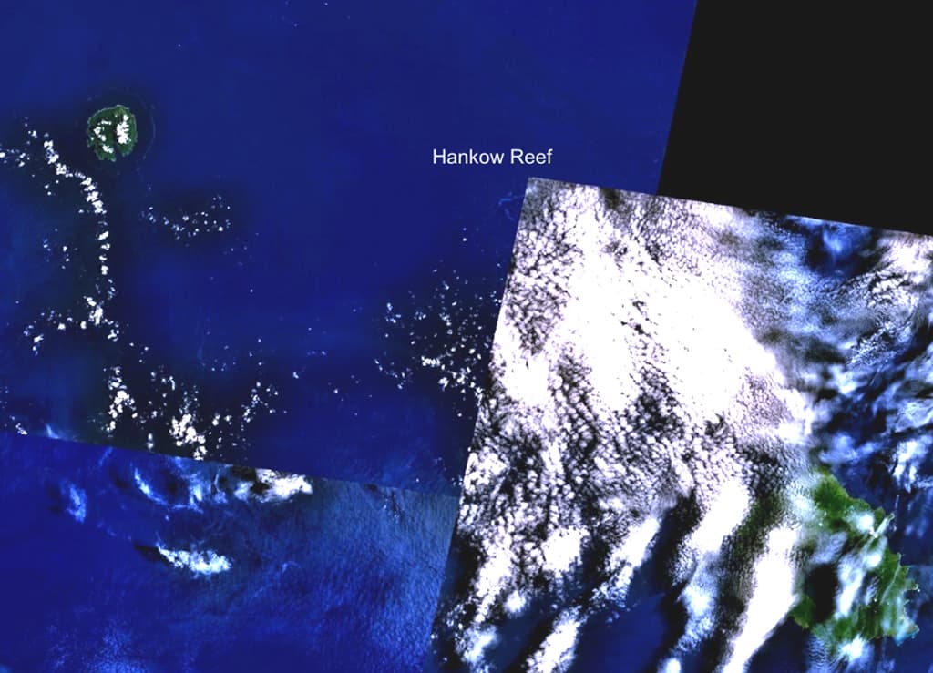 Hankow Reef
