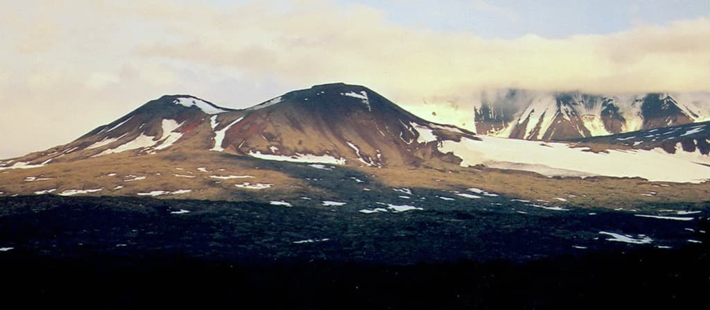Nylgimelkin
